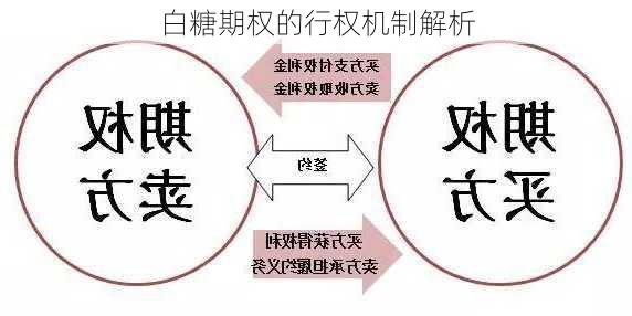 白糖期权的行权机制解析