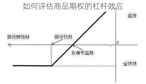 如何评估商品期权的杠杆效应