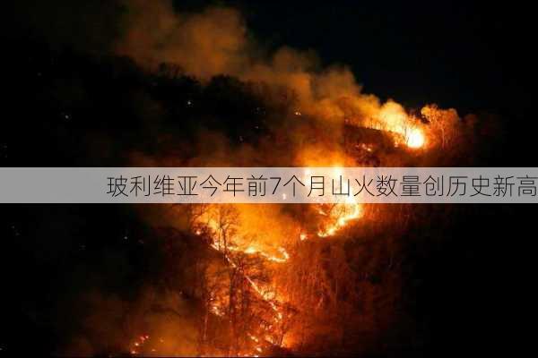 玻利维亚今年前7个月山火数量创历史新高