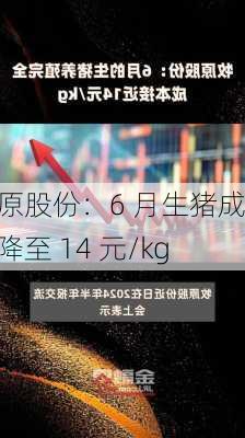 牧原股份：6 月生猪成本降至 14 元/kg