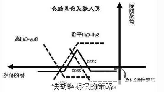 铁蝴蝶期权的策略