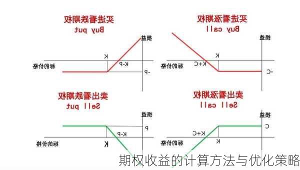 期权收益的计算方法与优化策略