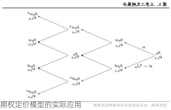 期权定价模型的实际应用