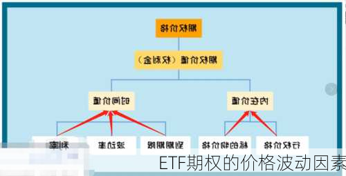 ETF期权的价格波动因素