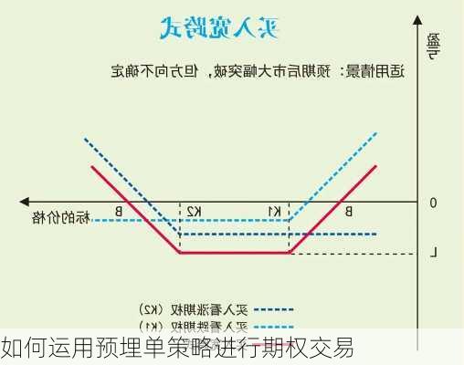 如何运用预埋单策略进行期权交易