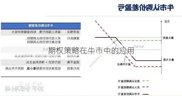 期权策略在牛市中的应用