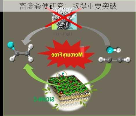 畜禽粪便研究：取得重要突破