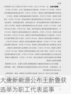 大唐新能源公布王新鲁获选举为职工代表监事