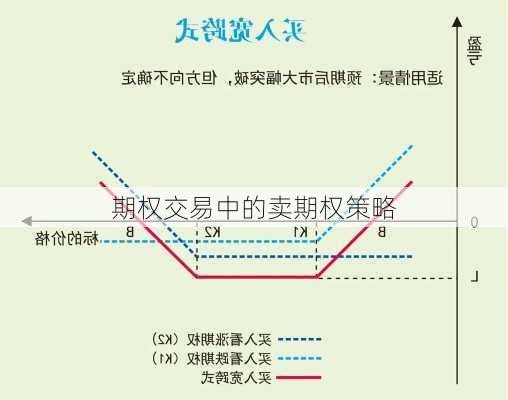 期权交易中的卖期权策略