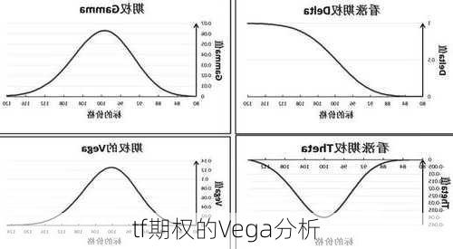 tf期权的Vega分析