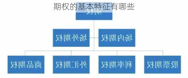 期权的基本特征有哪些