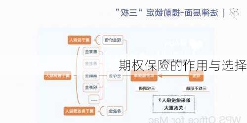 期权保险的作用与选择