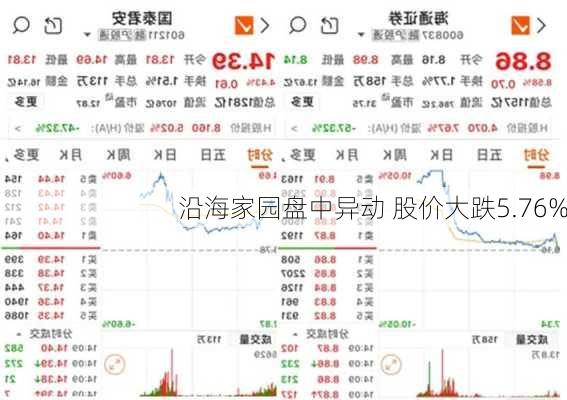 沿海家园盘中异动 股价大跌5.76%