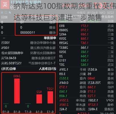 纳斯达克100指数期货重挫 英伟达等科技巨头遭进一步抛售