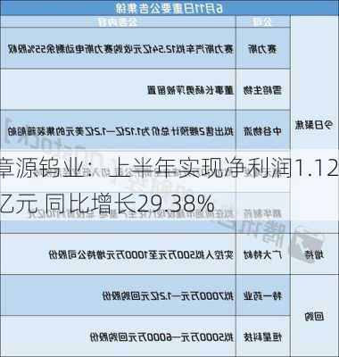 章源钨业：上半年实现净利润1.12亿元 同比增长29.38%