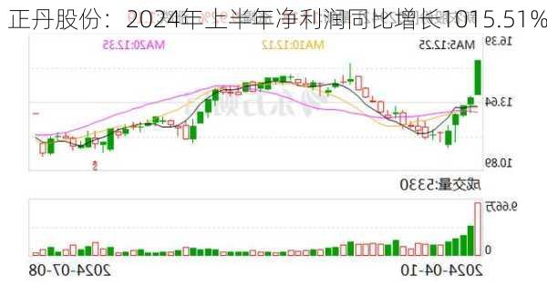 正丹股份：2024年上半年净利润同比增长1015.51%