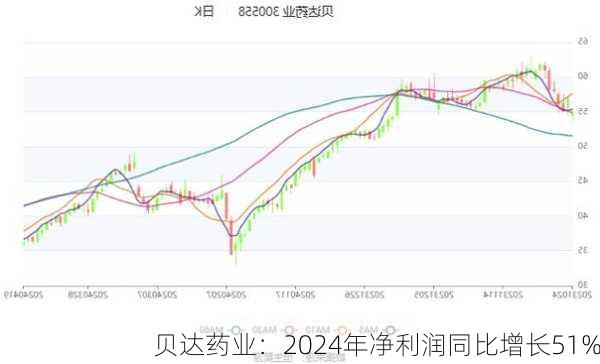 贝达药业：2024年净利润同比增长51%