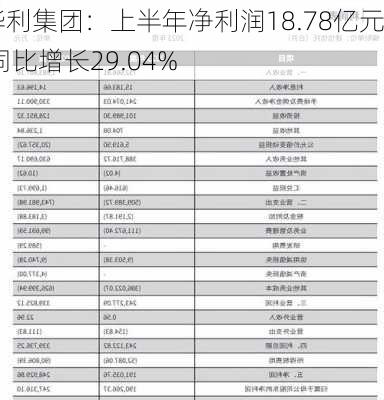 华利集团：上半年净利润18.78亿元 同比增长29.04%