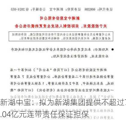 新湖中宝：拟为新湖集团提供不超过7.04亿元连带责任保证担保