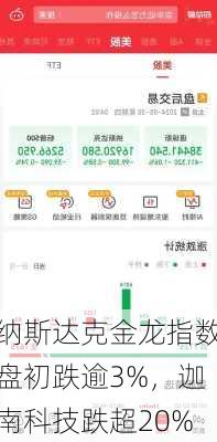 纳斯达克金龙指数盘初跌逾3%，迦南科技跌超20%