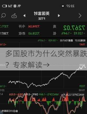 多国股市为什么突然暴跌？专家解读→