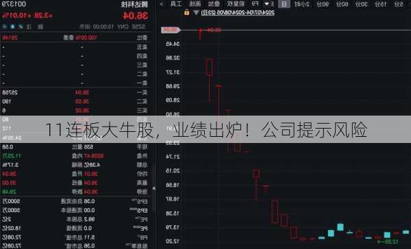 11连板大牛股，业绩出炉！公司提示风险