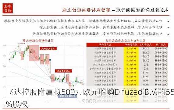 飞达控股附属拟500万欧元收购Difuzed B.V.的55%股权