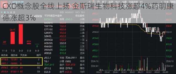 CXO概念股全线上扬 金斯瑞生物科技涨超4%药明康德涨超3%