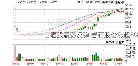 白酒股震荡反弹 岩石股份涨超5%