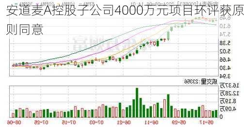 安道麦A控股子公司4000万元项目环评获原则同意