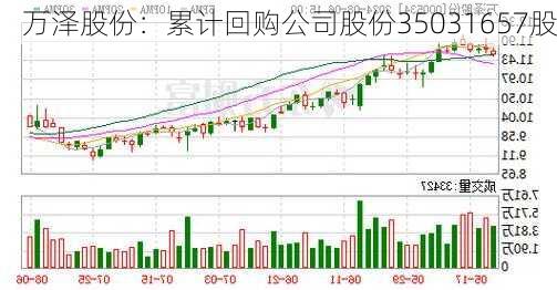 万泽股份：累计回购公司股份35031657股