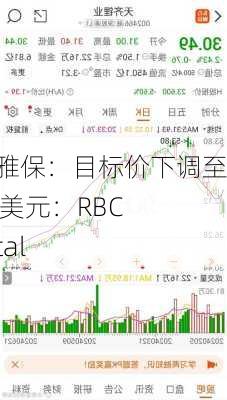 美国雅保：目标价下调至 111 美元：RBCCapital