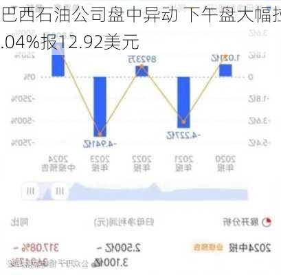 巴西石油公司盘中异动 下午盘大幅拉升5.04%报12.92美元