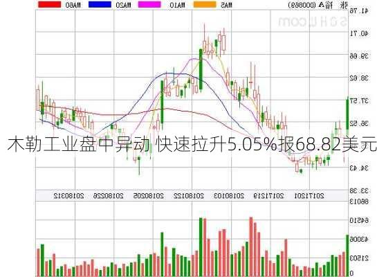 木勒工业盘中异动 快速拉升5.05%报68.82美元