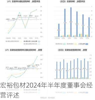 宏裕包材2024年半年度董事会经营评述