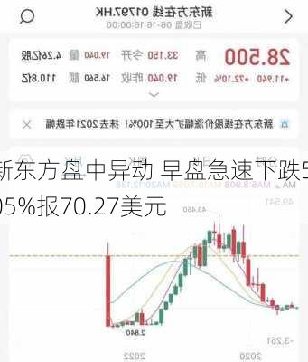 新东方盘中异动 早盘急速下跌5.05%报70.27美元