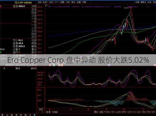 Ero Copper Corp.盘中异动 股价大跌5.02%