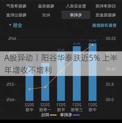 A股异动丨阳谷华泰跌近5% 上半年增收不增利