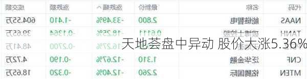 天地荟盘中异动 股价大涨5.36%