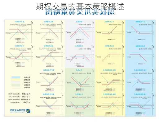 期权交易的基本策略概述
