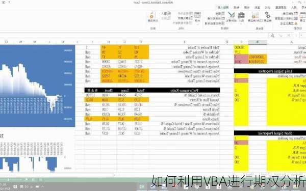 如何利用VBA进行期权分析