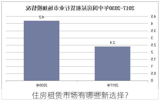 住房租赁市场有哪些新选择？