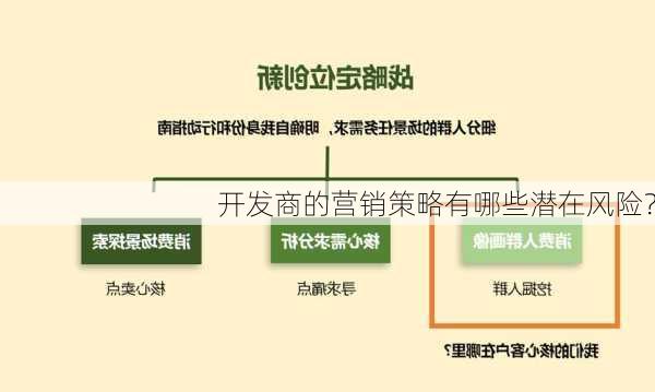 开发商的营销策略有哪些潜在风险？