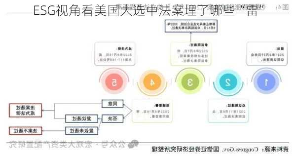 ESG视角看美国大选中法案埋了哪些“雷”