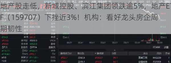 地产股走低，新城控股、滨江集团领跌逾5%，地产ETF（159707）下挫近3%！机构：看好龙头房企周期韧性