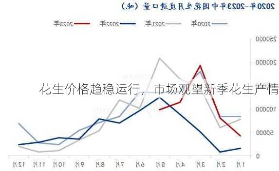 花生价格趋稳运行，市场观望新季花生产情