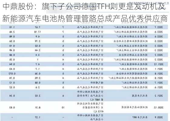 中鼎股份：旗下子公司德国TFH则更是发动机及新能源汽车电池热管理管路总成产品优秀供应商