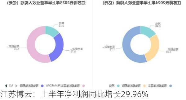 江苏博云：上半年净利润同比增长29.96%