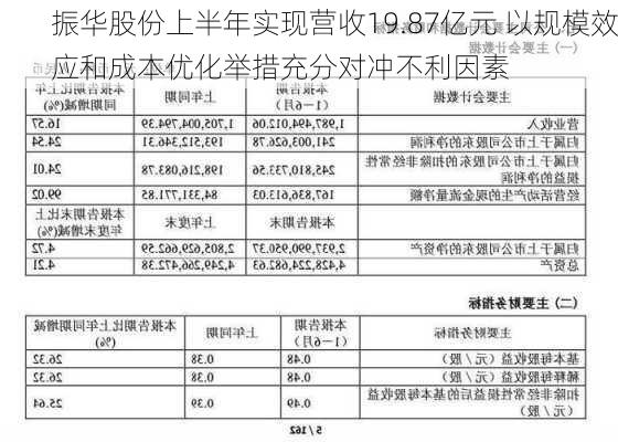 振华股份上半年实现营收19.87亿元 以规模效应和成本优化举措充分对冲不利因素