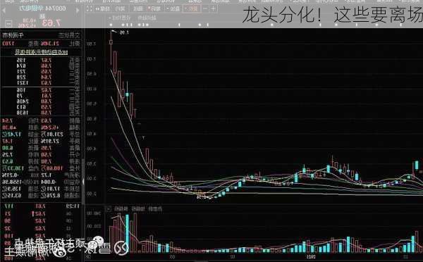 龙头分化！这些要离场